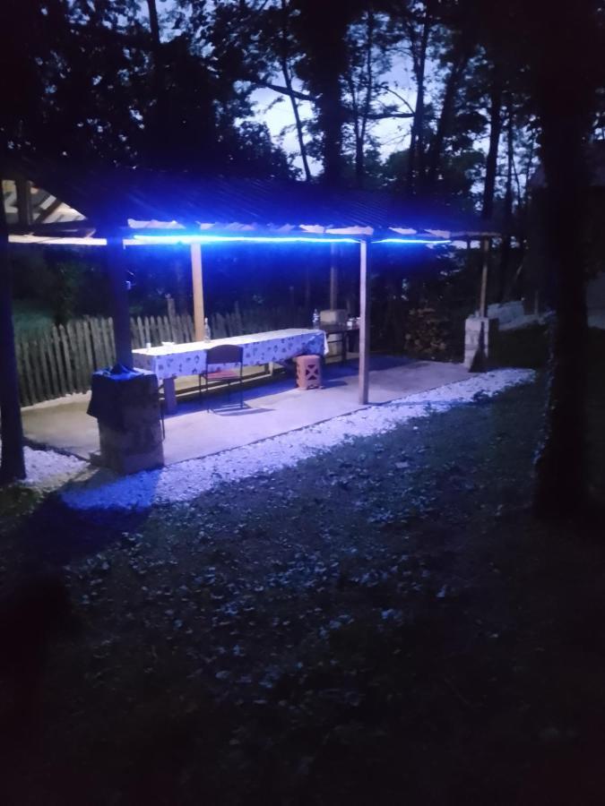 Tamuna Guest House Мартвілі Екстер'єр фото